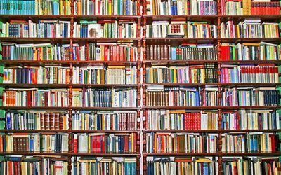 Vive entre letras en Rivas