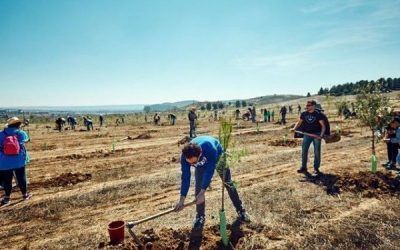 Rivas ciudad del Medio Ambiente