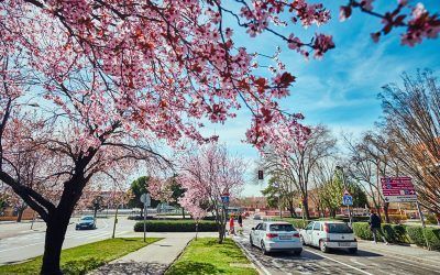 Nuevas iniciativas urbanísticas en Rivas