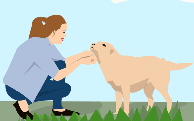 Rivas: una ciudad que protege a los animales