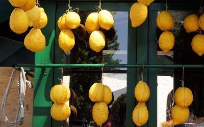 El mercado agroalimentario de Rivas cambia de ubicación