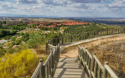 Vivir en Rivas Vaciamadrid Oeste