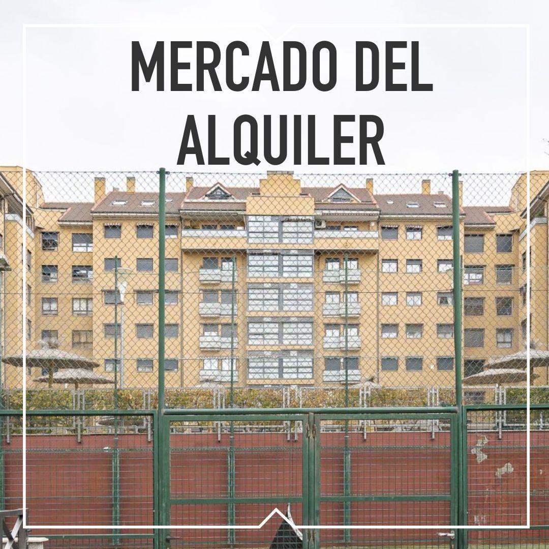 INFORME alquileres rivas