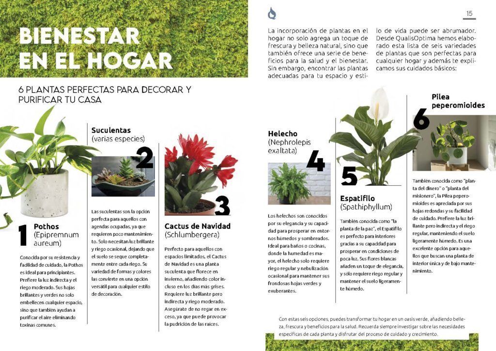 revista bonlar 3
